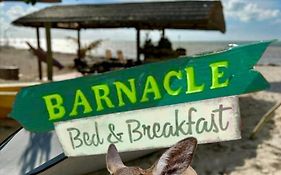 Barnacle Bed And Breakfast Big Pine Key